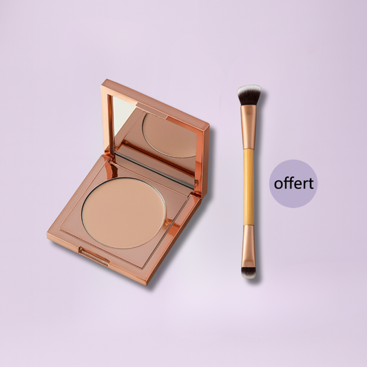 CORRECTEUR ILLUMINATEUR ADAPTATIF